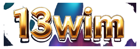 13wim logo